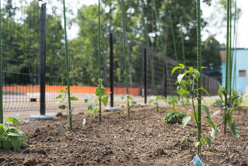 どんぐりの友保育園