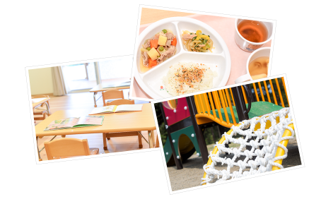 どんぐりの友保育園｜水戸｜認可保育園